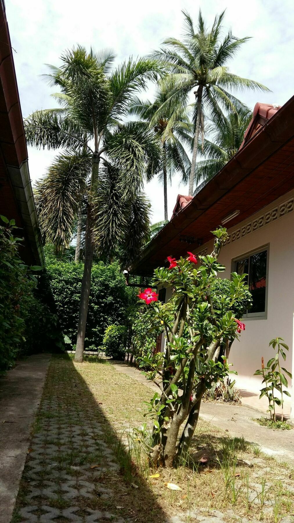 Saver Guesthouse Chaweng  Exterior foto